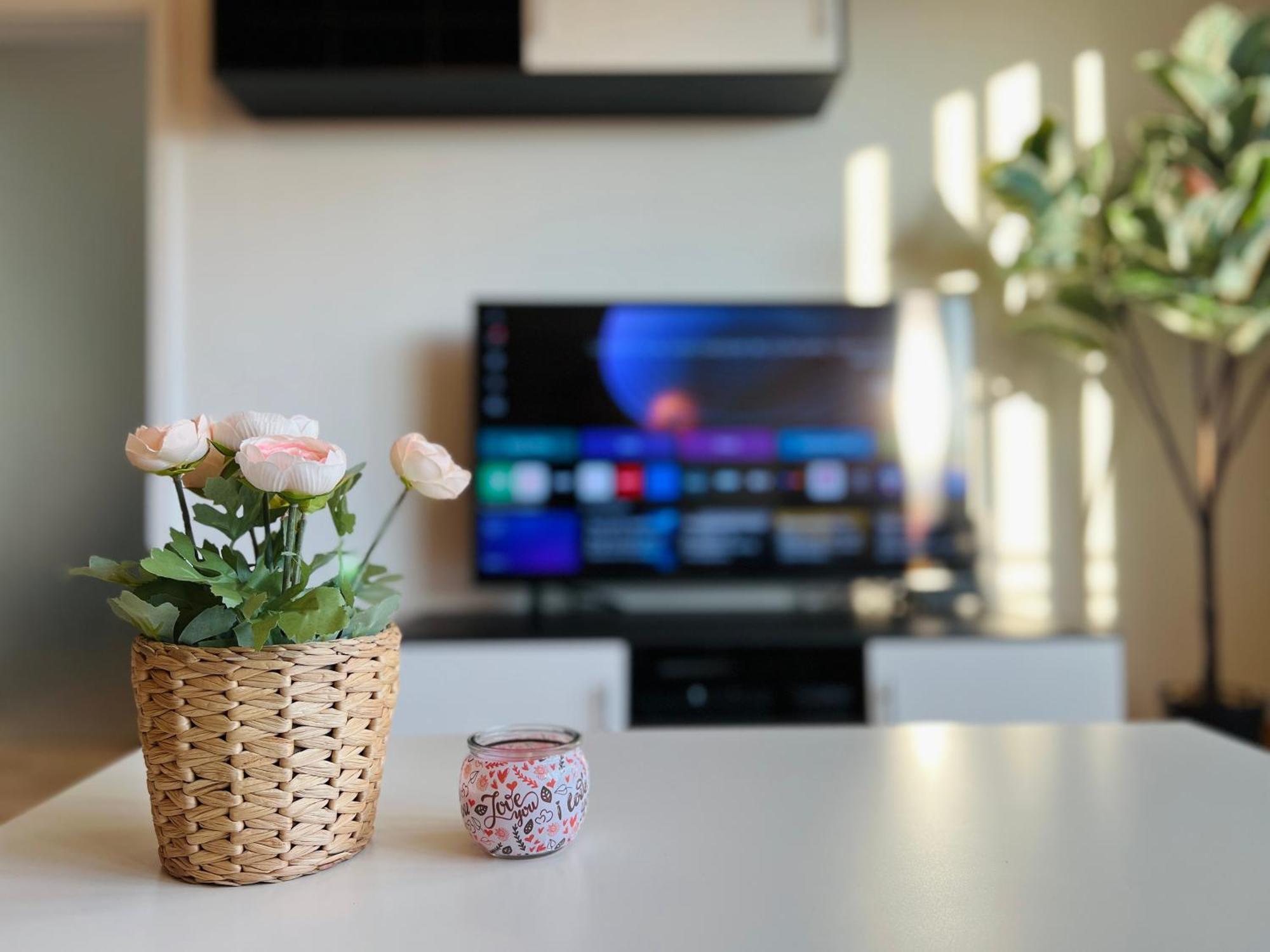 Stariva - Terrasse Ueber Dresden - Kaffeemachine - Netflix - Playstation - Brettspiele Lejlighed Eksteriør billede
